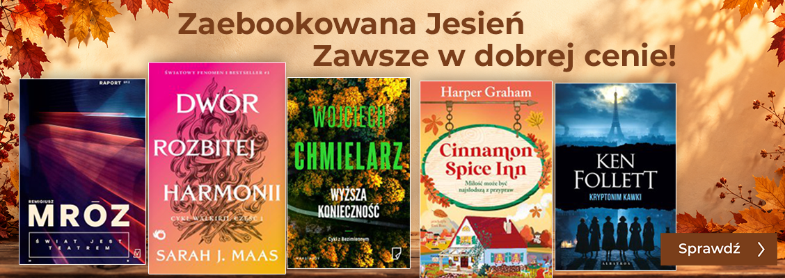 Baner główny sklepu promo SP